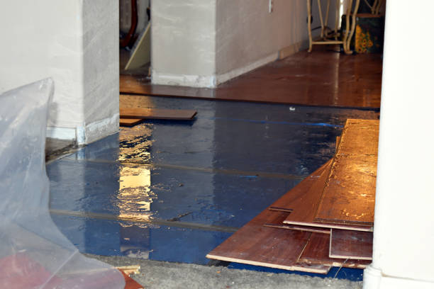 Professional Basement Flood Cleanup technician working in North Haven, ME